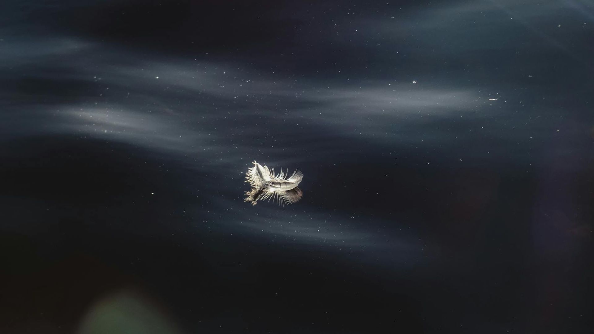 Minimalist dark gym space with a single focused light.